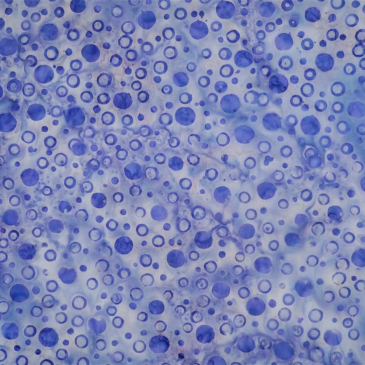 tea-berry-mariana-blue Tea Berry Mariana Blue