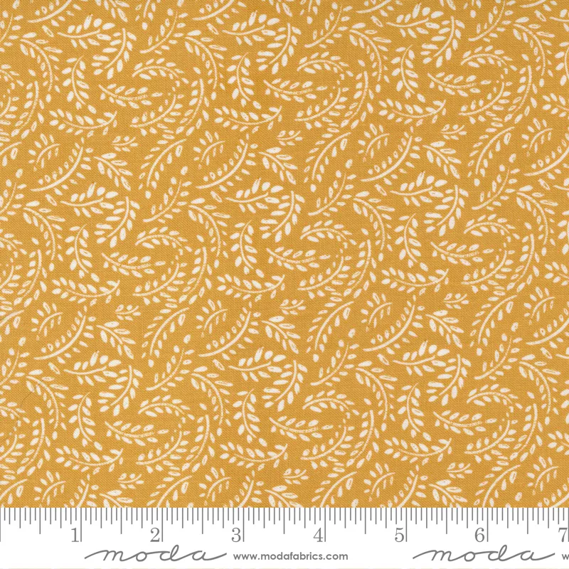 Timber Meadow Honey 55554 24