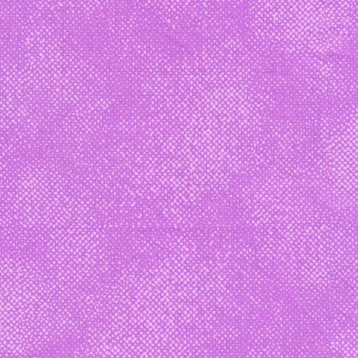 timeless-treasures-c1000-lavender Timeless Treasures – C1000 Lavender