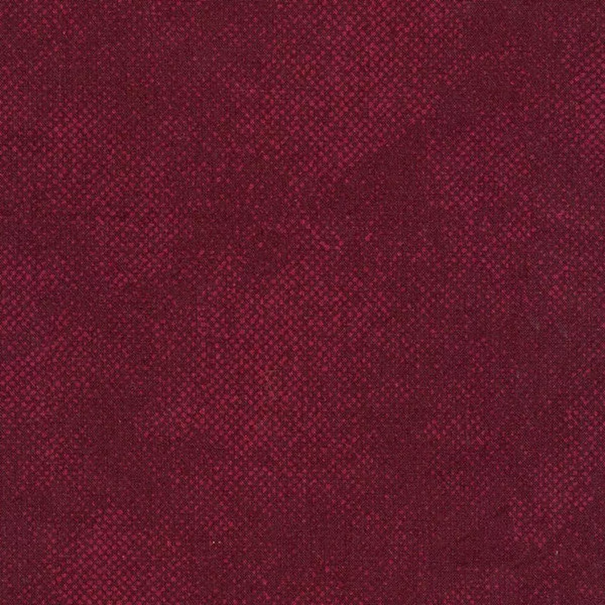 Timeless Treasures – C1000 Wine