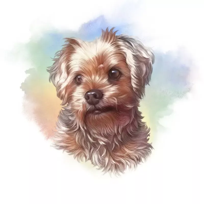 toy-poodle-portrait-fabric-panel-multi Toy Poodle Portrait Fabric Panel – Multi