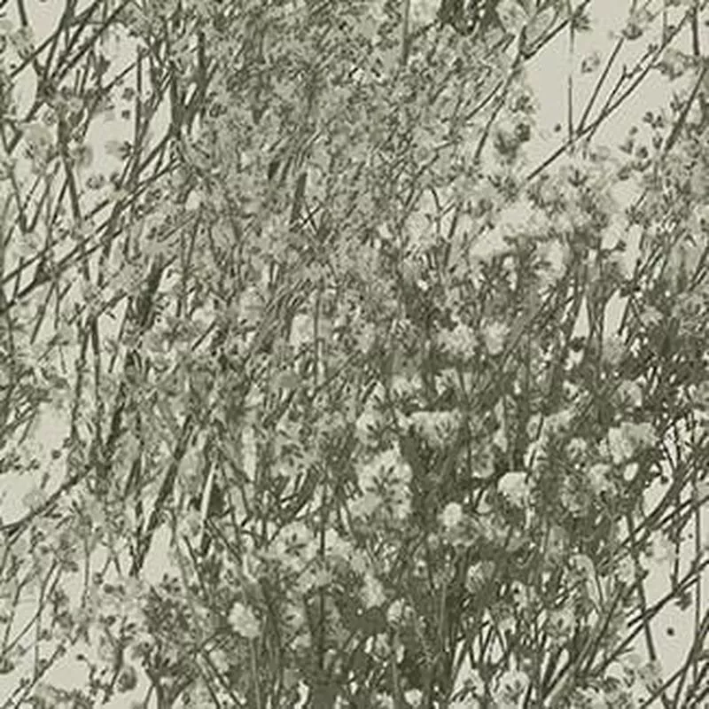 tranquility-floral-branches-green Tranquility – Floral Branches Green