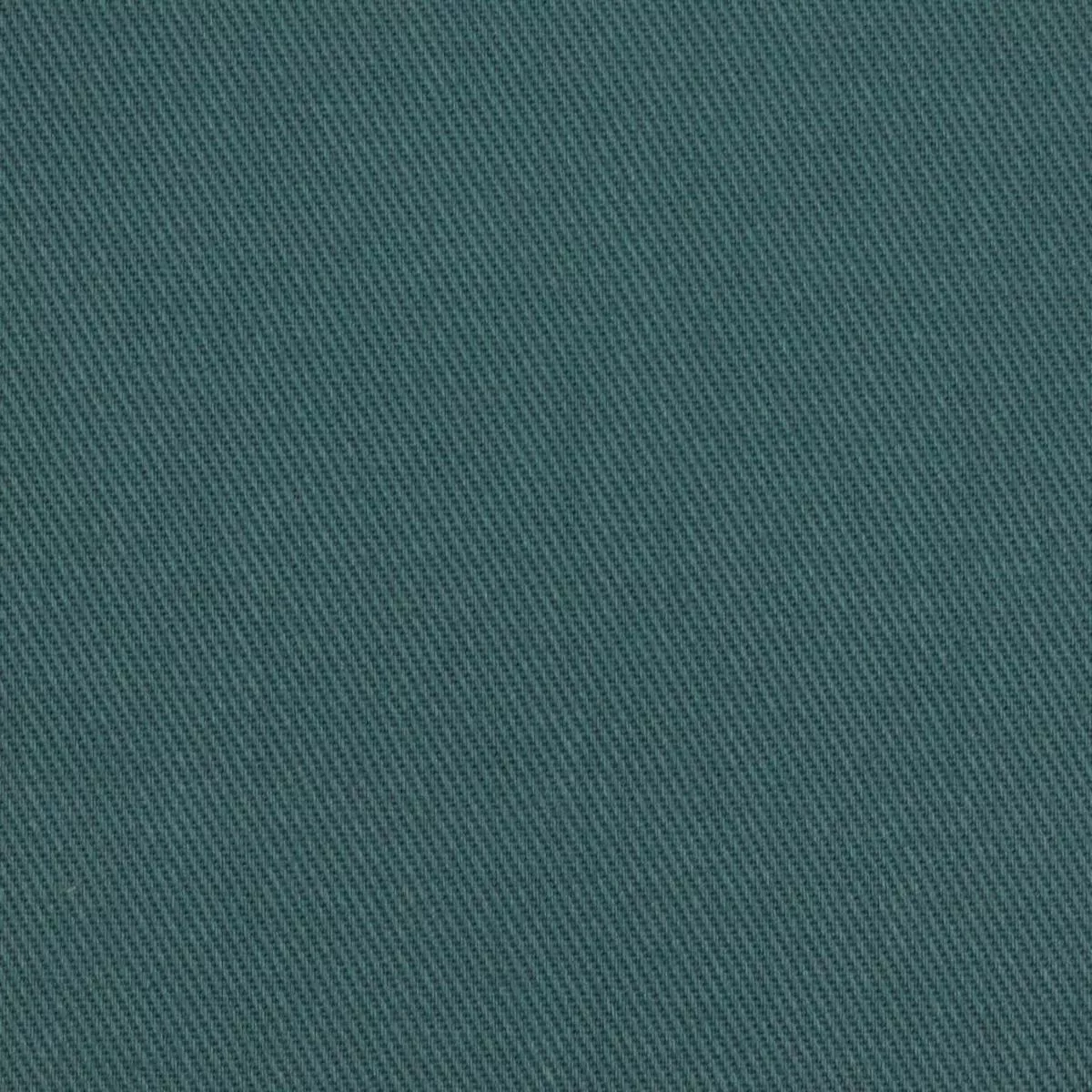 TRIESTE TWILL -FEDERAL RM Coco Fabric