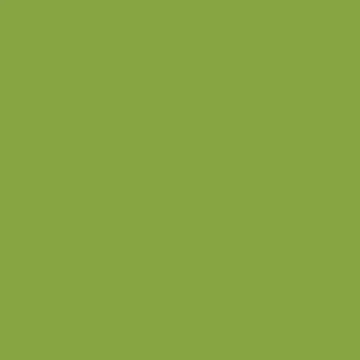 tula-pink-dragons-breath-matcha Tula Pink Dragons Breath – Matcha