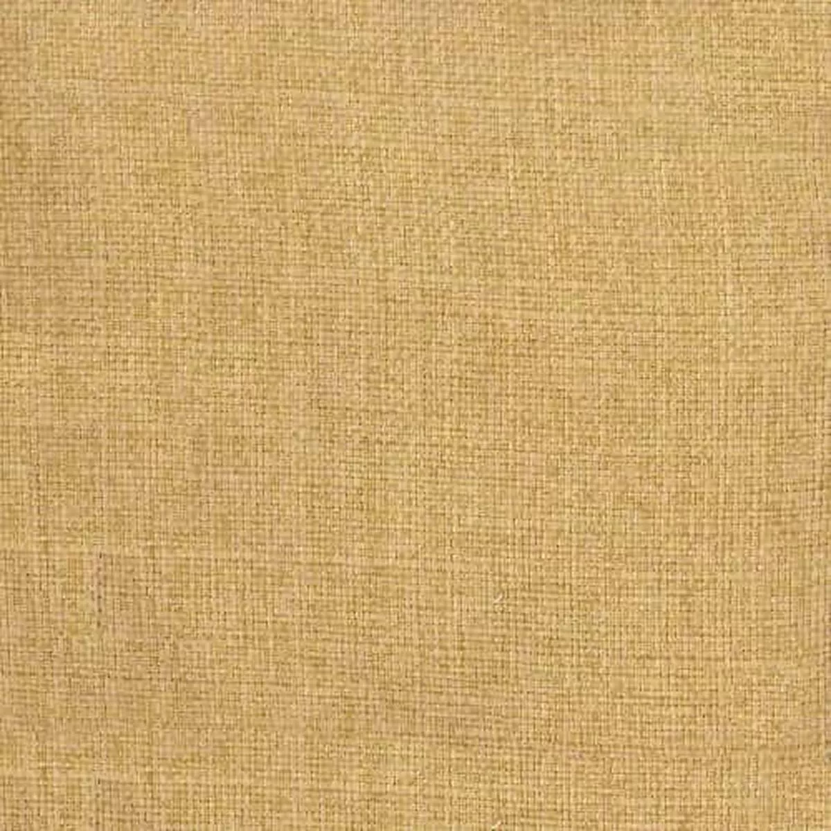 Turbo Saffron Regal Fabric