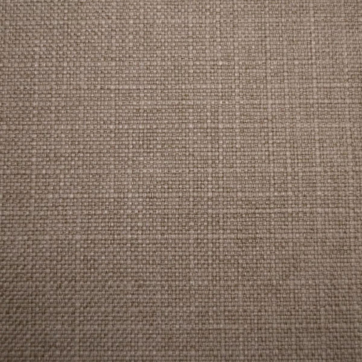Turbo Wheat Regal Fabric