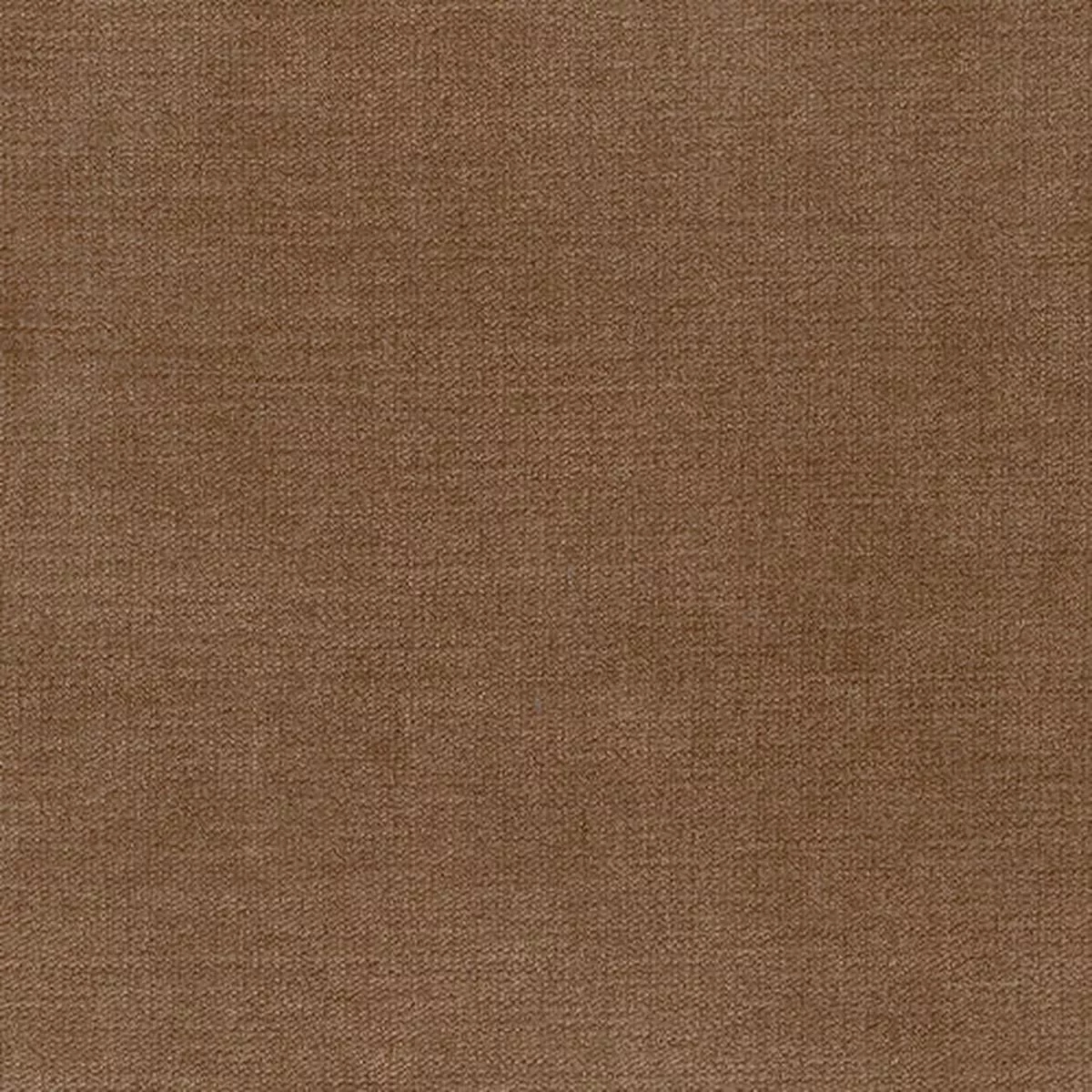 Venice Oak Regal Fabric