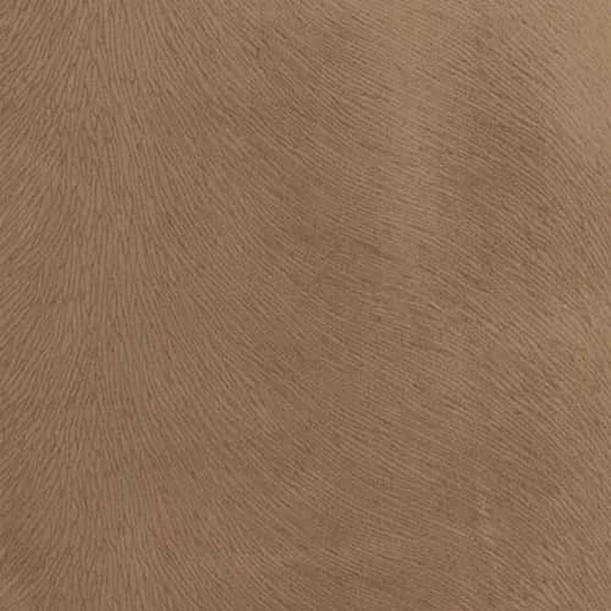 venture-camel-regal-fabric Venture Camel Regal Fabric