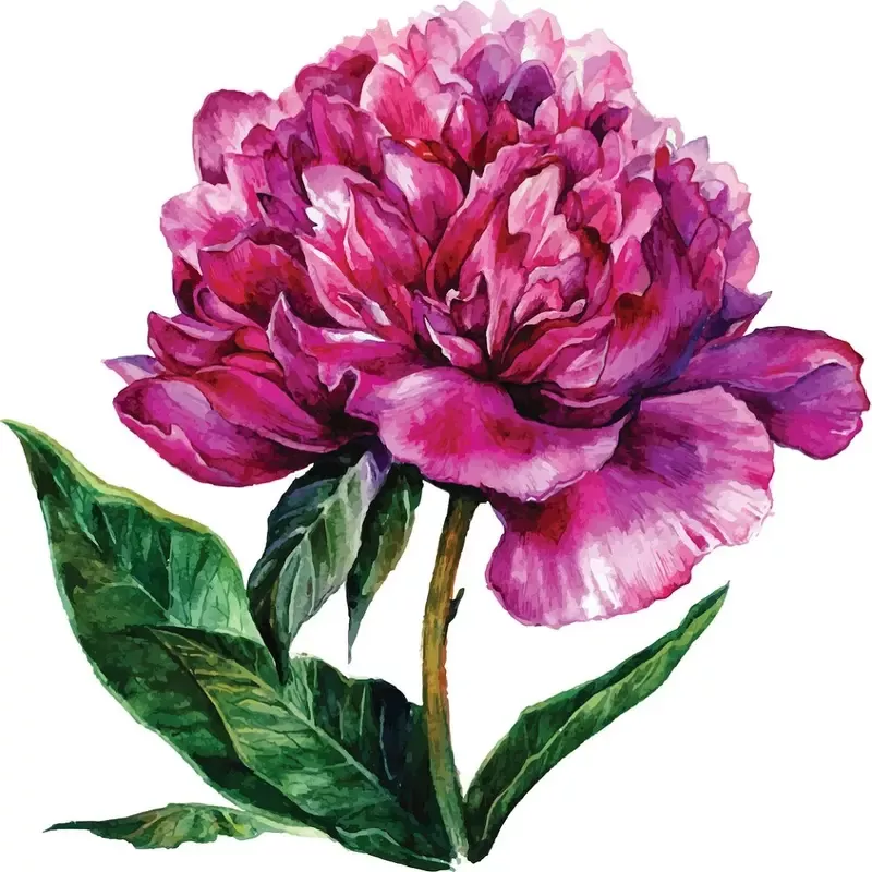 Watercolor Hand Drawn Peony Fabric Panel – Pink