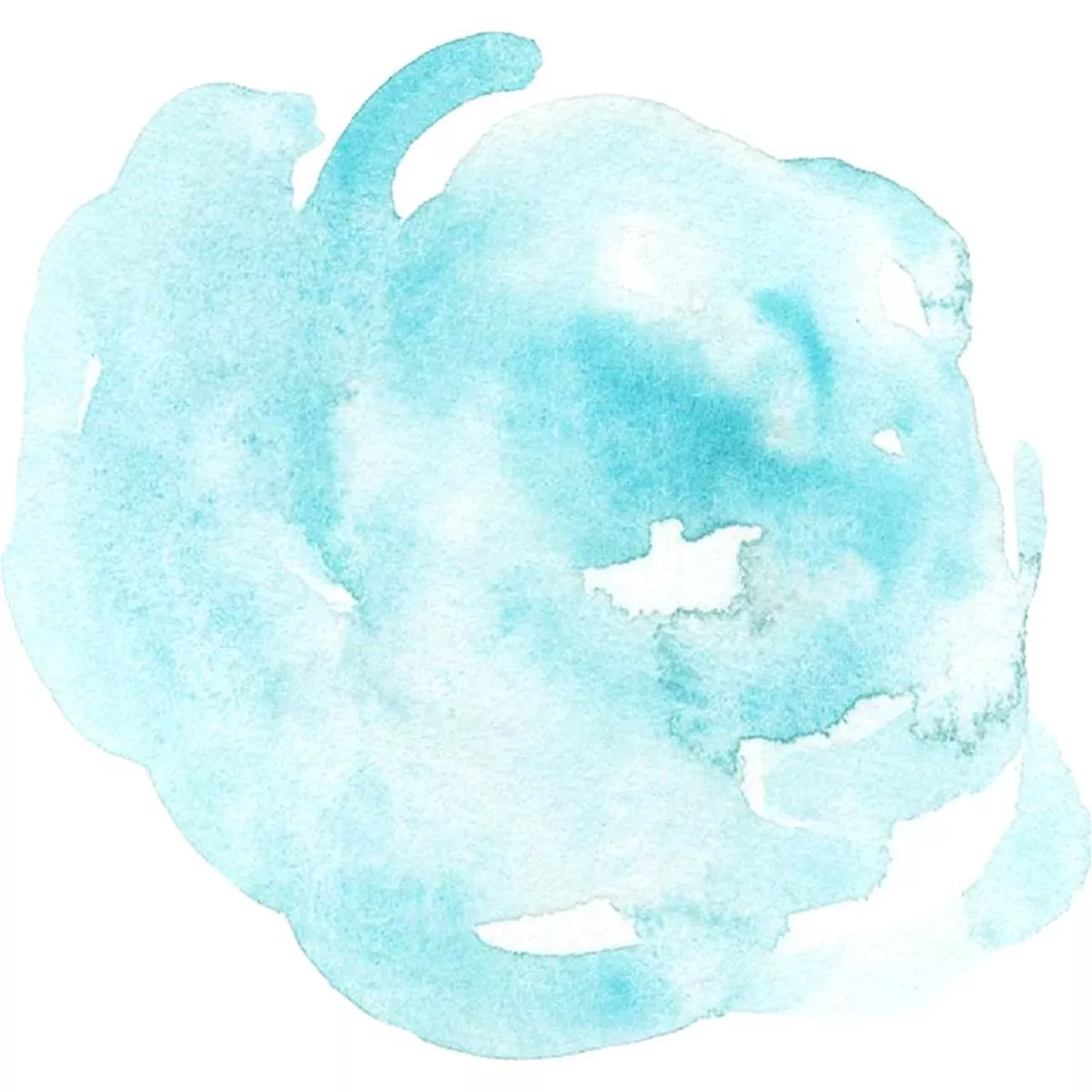 Watercolor Rose Fabric Panel – Blue