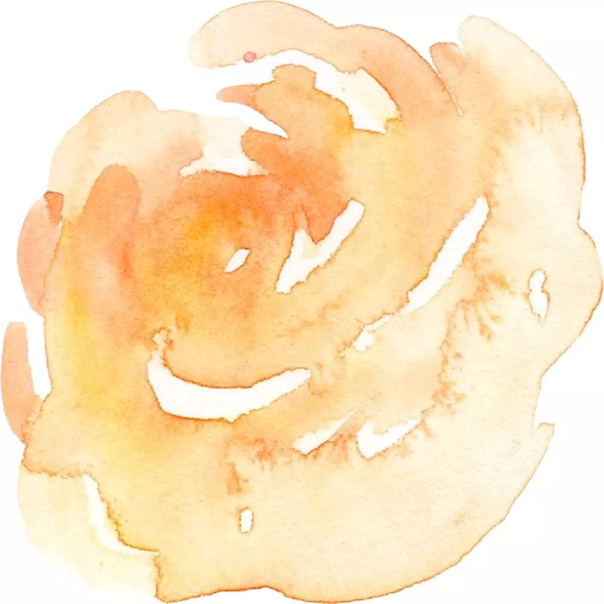 Watercolor Rose Fabric Panel – Peach