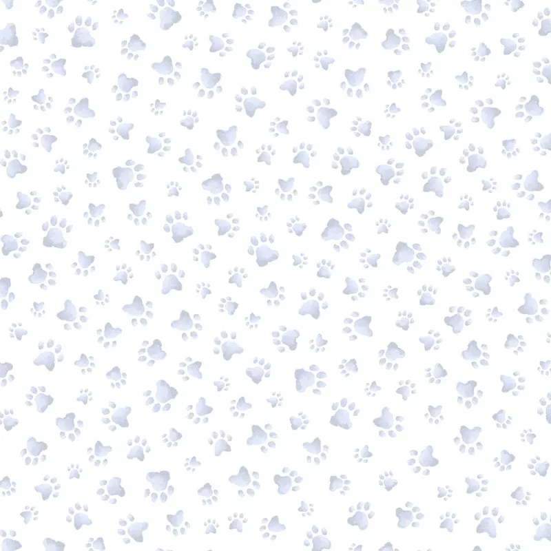 whiskers-paws-10420-k Whiskers & Paws (10420-K)