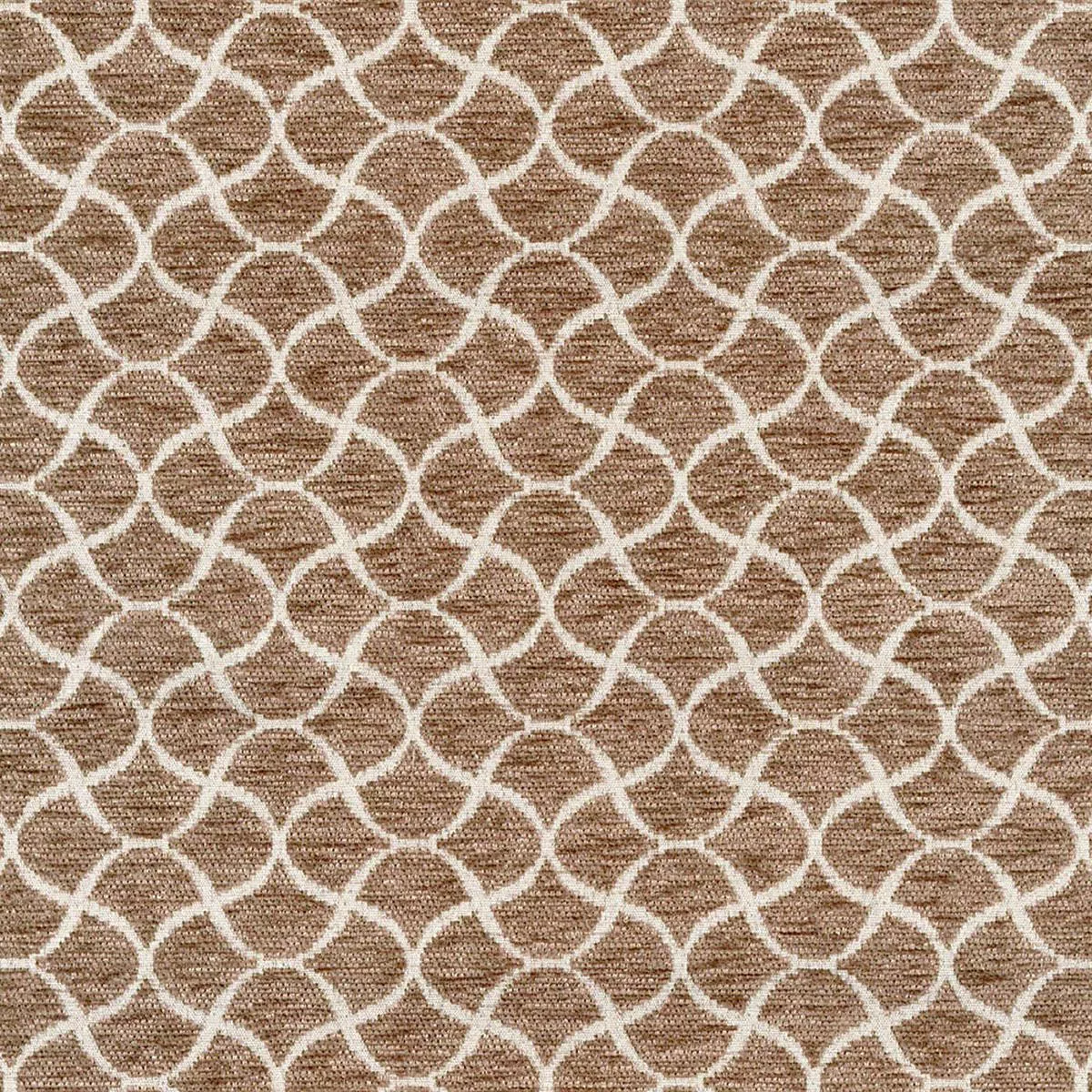 wiggle-cocoa-regal-fabric Wiggle Cocoa Regal Fabric