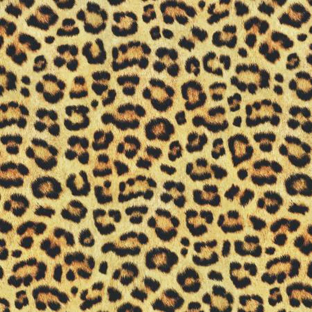 wild-cheetah-mandalay-performance-knit-prints-robert-kaufman Wild Cheetah Mandalay Performance Knit Prints — Robert Kaufman