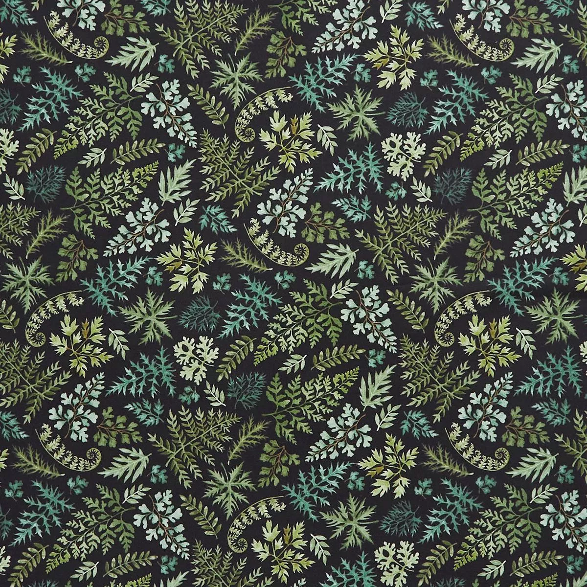 Wild Harvest – Small Ferns Black Yardage