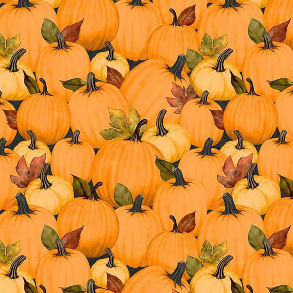 Wilmington Oh My Gourd 27746 987 Multi
