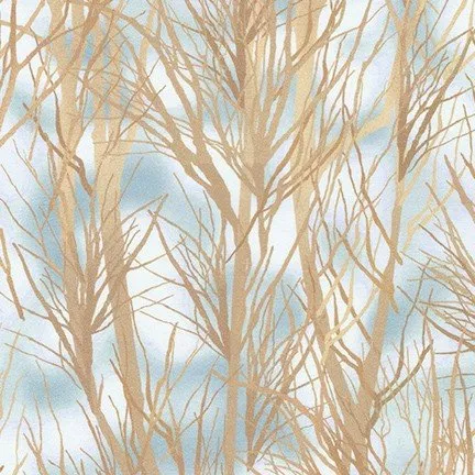 winter-visitors-cloud-ahyd-20223-216-robert-kaufman Winter Visitors Cloud AHYD-20223-216 Robert Kaufman