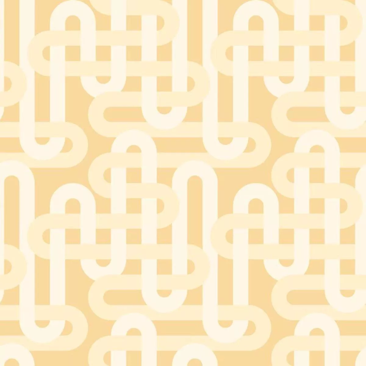 woven-champagne-by-emily-van-hoff Woven Champagne by Emily Van Hoff